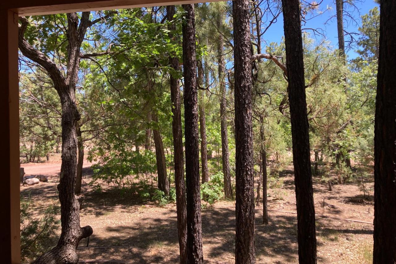 Tranquil Pines Retreat Villa Pinetop-Lakeside Luaran gambar